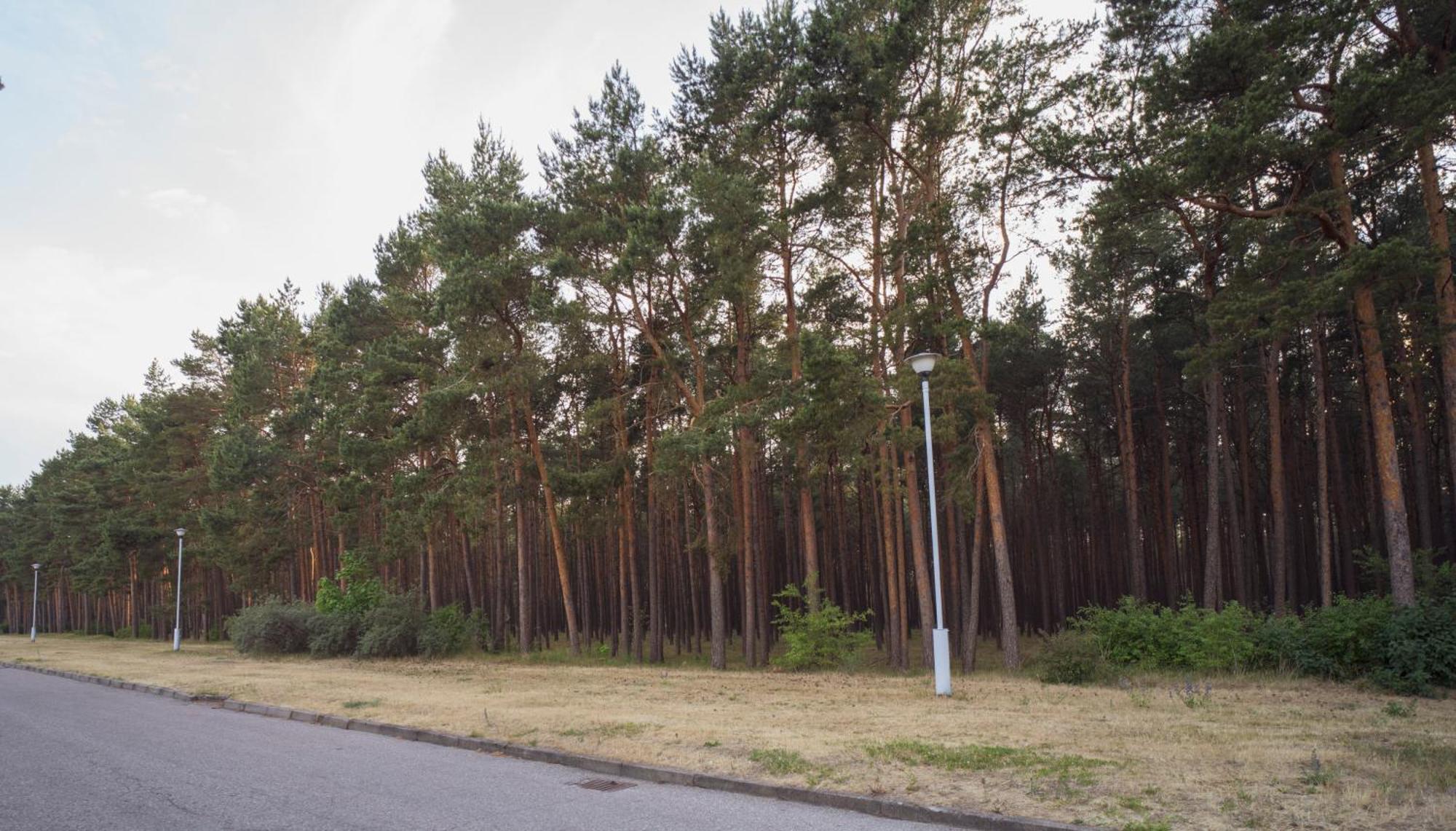 Vila Bite Palanga Esterno foto